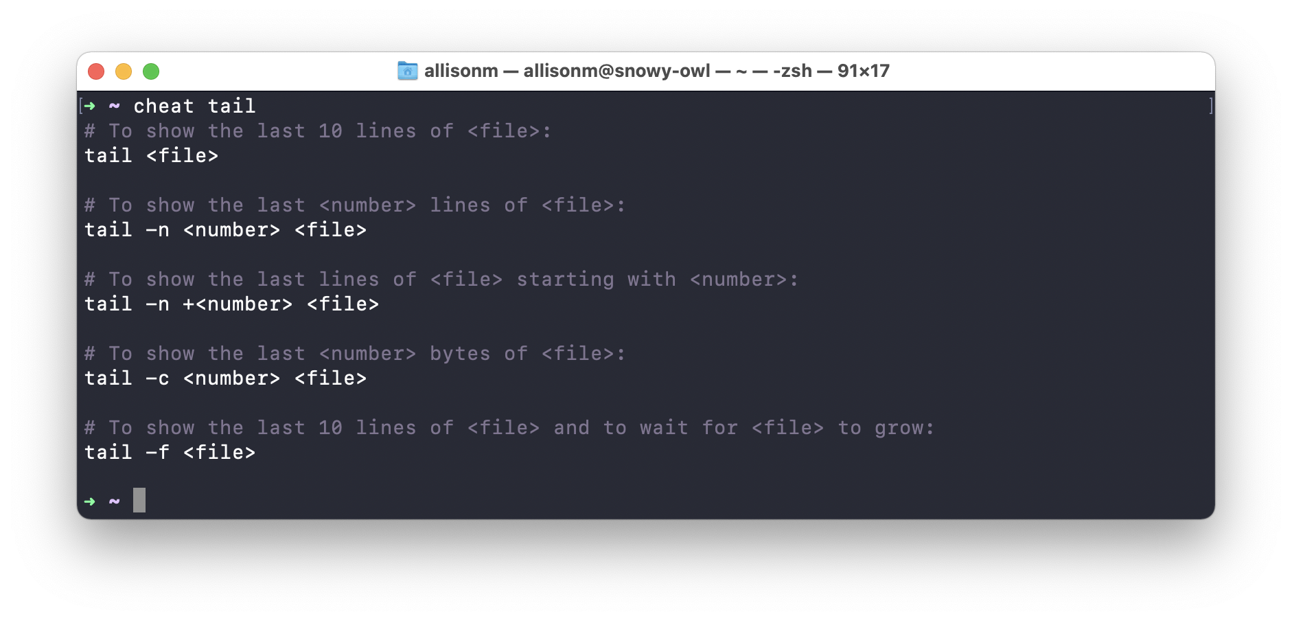 cheat example