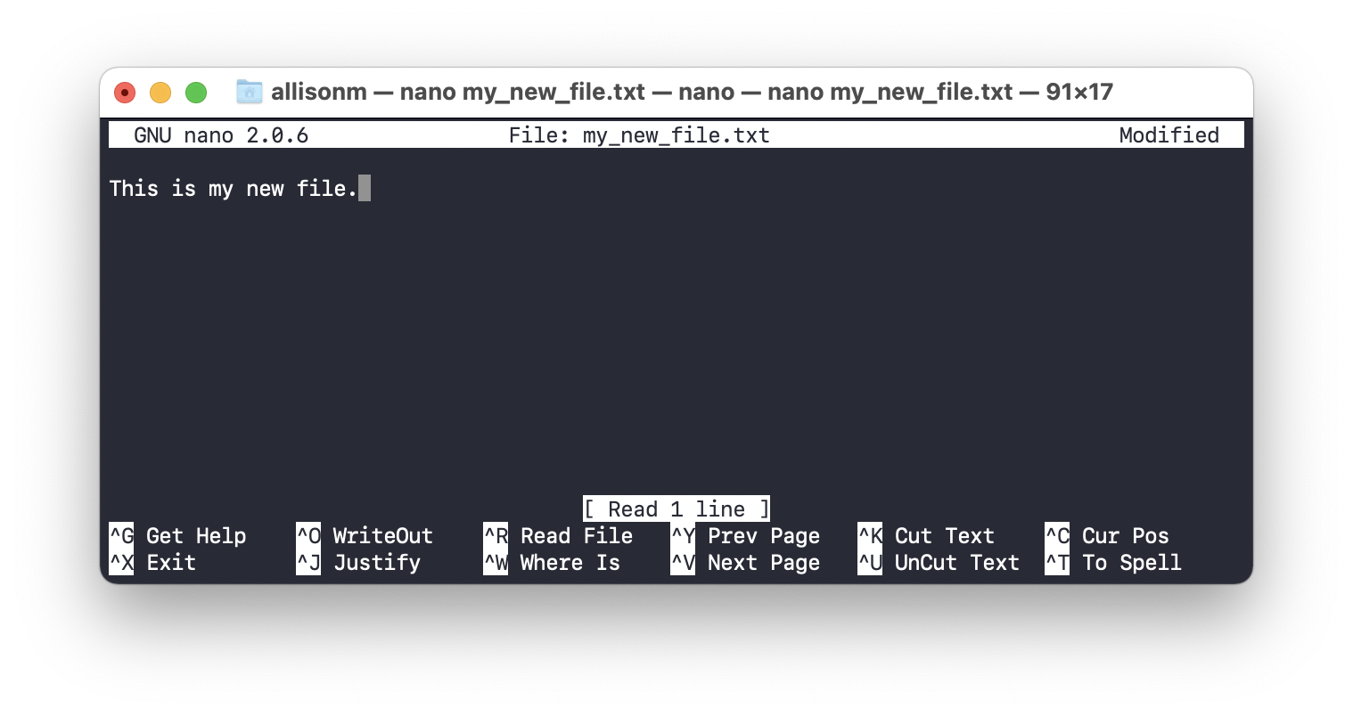 nano text editor